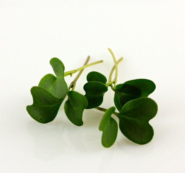 Kel tmavý na microgreens 100 g